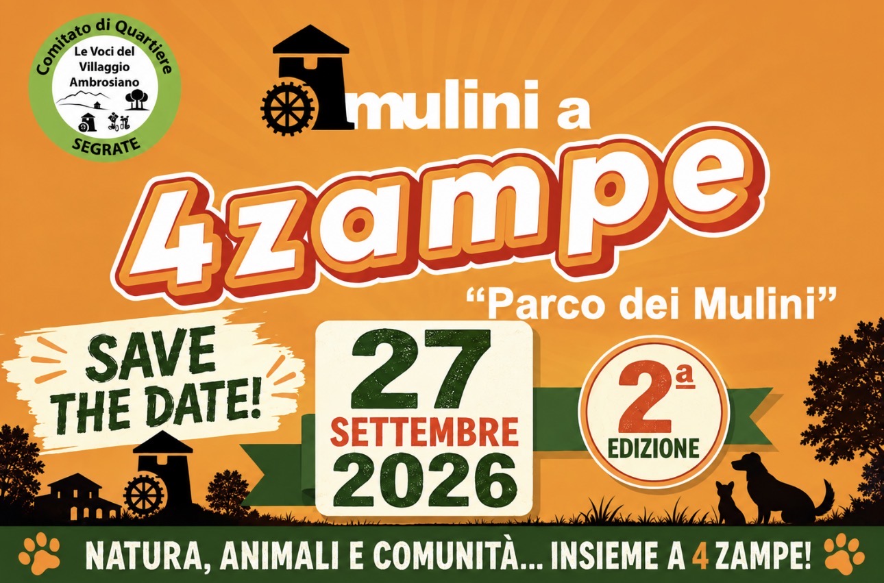 Anteprima